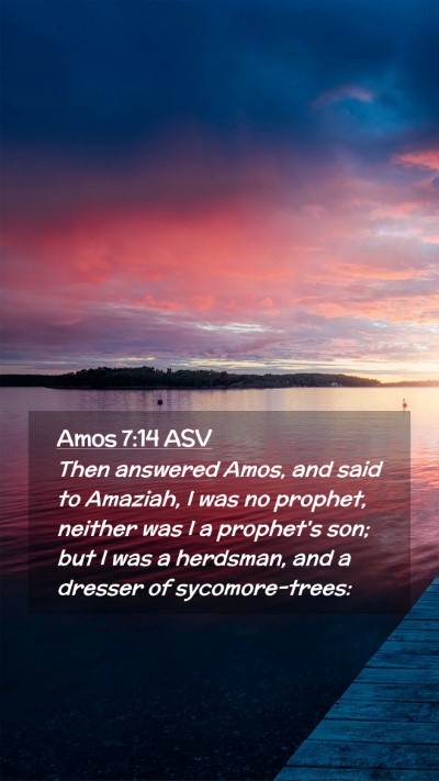 Picture 02 - Amos 7:14 ASV Mobile Phone Wallpaper - Then answered Amos, and said to Amaziah, I was no - Mobile Bible Verse Wallpaper
