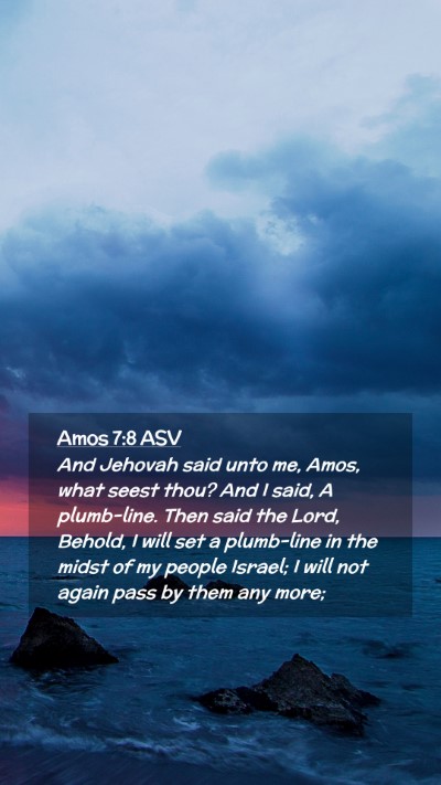 Picture 02 - Amos 7:8 ASV Mobile Phone Wallpaper - And Jehovah said unto me, Amos, what seest thou? - Mobile Bible Verse Wallpaper