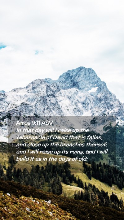 Picture 02 - Amos 9:11 ASV Mobile Phone Wallpaper - In that day will I raise up the tabernacle of - Mobile Bible Verse Wallpaper