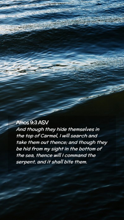 Picture 02 - Amos 9:3 ASV Mobile Phone Wallpaper - And though they hide themselves in the top of - Mobile Bible Verse Wallpaper