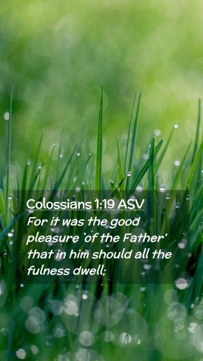 Picture 02 - Colossians 1:19 ASV Mobile Phone Wallpaper - For it was the good pleasure `of the Father' that - Mobile Bible Verse Wallpaper
