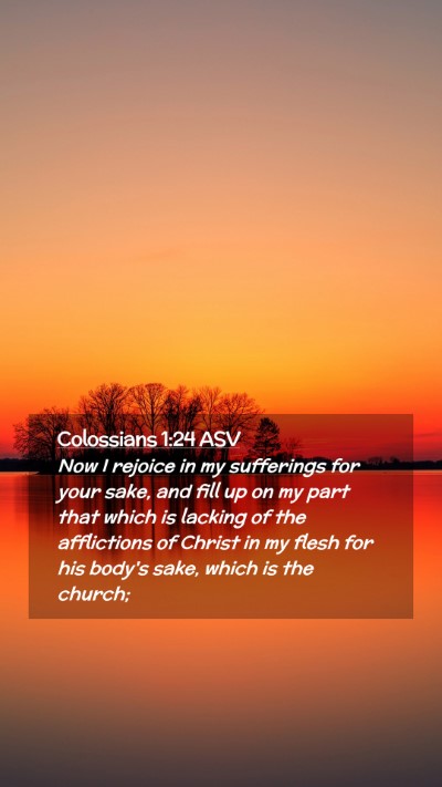 Picture 02 - Colossians 1:24 ASV Mobile Phone Wallpaper - Now I rejoice in my sufferings for your sake, and - Mobile Bible Verse Wallpaper