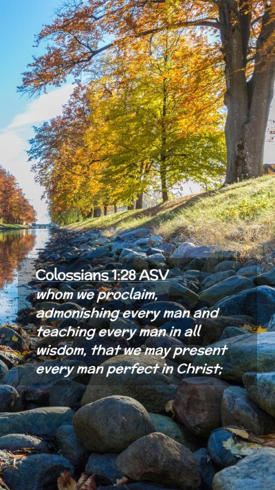 Picture 02 - Colossians 1:28 ASV Mobile Phone Wallpaper - whom we proclaim, admonishing every man and - Mobile Bible Verse Wallpaper
