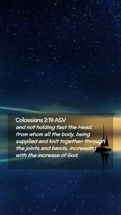 Picture 02 - Colossians 2:19 ASV Mobile Phone Wallpaper - and not holding fast the Head, from whom all the - Mobile Bible Verse Wallpaper