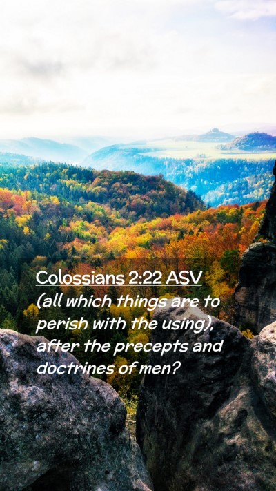 Picture 02 - Colossians 2:22 ASV Mobile Phone Wallpaper - (all which things are to perish with the using), - Mobile Bible Verse Wallpaper