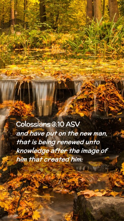 Picture 02 - Colossians 3:10 ASV Mobile Phone Wallpaper - and have put on the new man, that is being - Mobile Bible Verse Wallpaper
