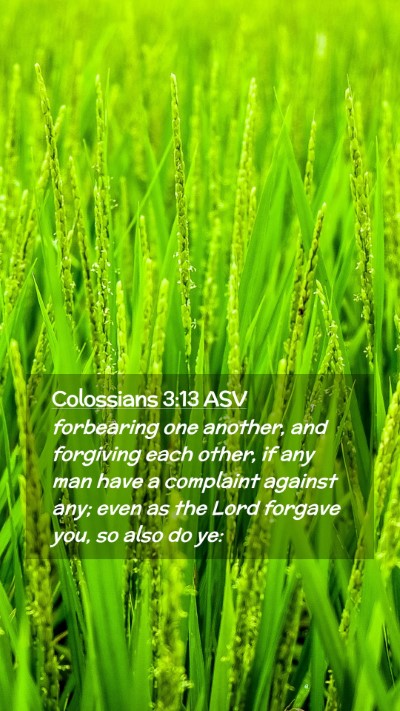 Picture 02 - Colossians 3:13 ASV Mobile Phone Wallpaper - forbearing one another, and forgiving each other, - Mobile Bible Verse Wallpaper