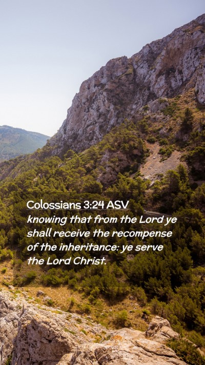 Picture 02 - Colossians 3:24 ASV Mobile Phone Wallpaper - knowing that from the Lord ye shall receive the - Mobile Bible Verse Wallpaper