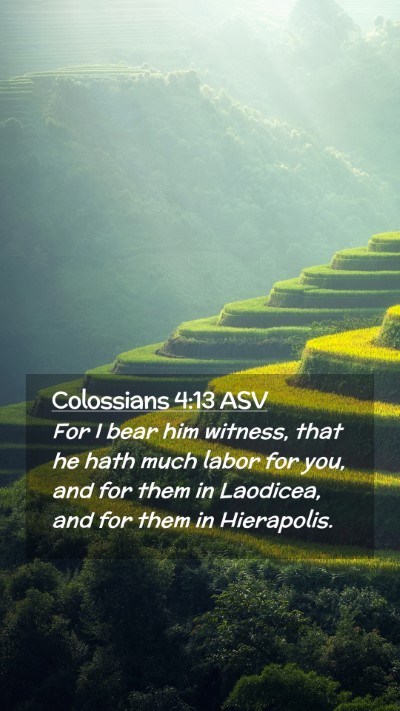 Picture 02 - Colossians 4:13 ASV Mobile Phone Wallpaper - For I bear him witness, that he hath much labor - Mobile Bible Verse Wallpaper