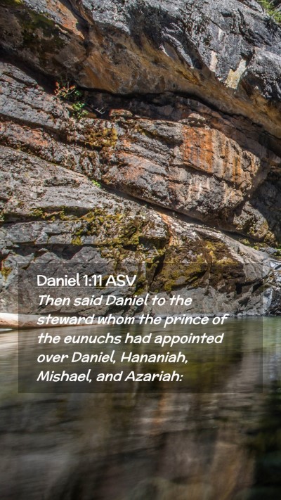 Picture 02 - Daniel 1:11 ASV Mobile Phone Wallpaper - Then said Daniel to the steward whom the prince - Mobile Bible Verse Wallpaper