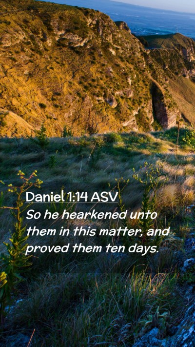 Picture 02 - Daniel 1:14 ASV Mobile Phone Wallpaper - So he hearkened unto them in this matter, and - Mobile Bible Verse Wallpaper