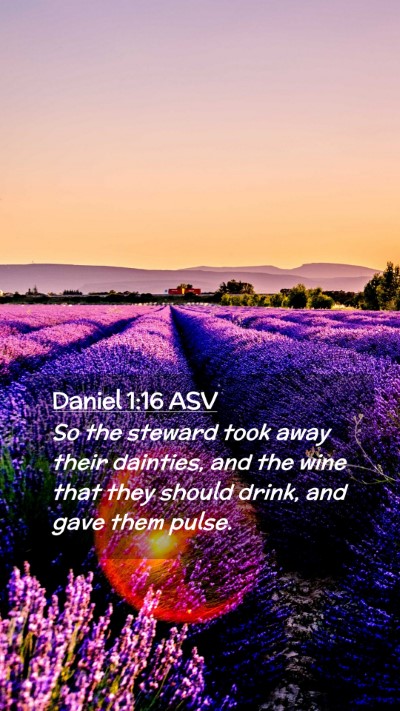 Picture 02 - Daniel 1:16 ASV Mobile Phone Wallpaper - So the steward took away their dainties, and the - Mobile Bible Verse Wallpaper