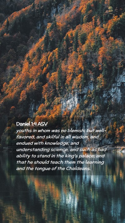 Picture 02 - Daniel 1:4 ASV Mobile Phone Wallpaper - youths in whom was no blemish, but well-favored, - Mobile Bible Verse Wallpaper