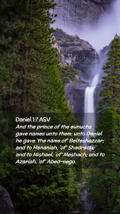 Picture 02 - Daniel 1:7 ASV Mobile Phone Wallpaper - And the prince of the eunuchs gave names unto - Mobile Bible Verse Wallpaper