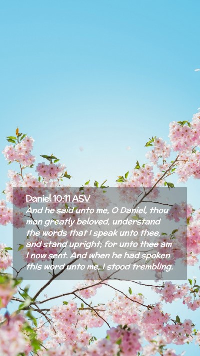 Picture 02 - Daniel 10:11 ASV Mobile Phone Wallpaper - And he said unto me, O Daniel, thou man greatly - Mobile Bible Verse Wallpaper