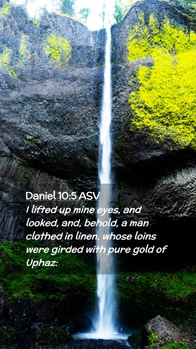Picture 02 - Daniel 10:5 ASV Mobile Phone Wallpaper - I lifted up mine eyes, and looked, and, behold, a - Mobile Bible Verse Wallpaper