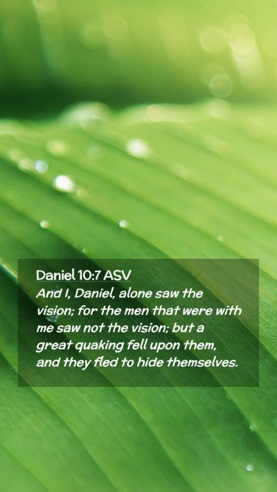 Picture 02 - Daniel 10:7 ASV Mobile Phone Wallpaper - And I, Daniel, alone saw the vision; for the men - Mobile Bible Verse Wallpaper
