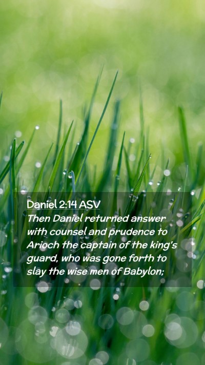 Picture 02 - Daniel 2:14 ASV Mobile Phone Wallpaper - Then Daniel returned answer with counsel and - Mobile Bible Verse Wallpaper