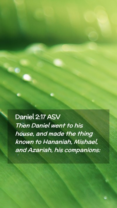 Picture 02 - Daniel 2:17 ASV Mobile Phone Wallpaper - Then Daniel went to his house, and made the thing - Mobile Bible Verse Wallpaper