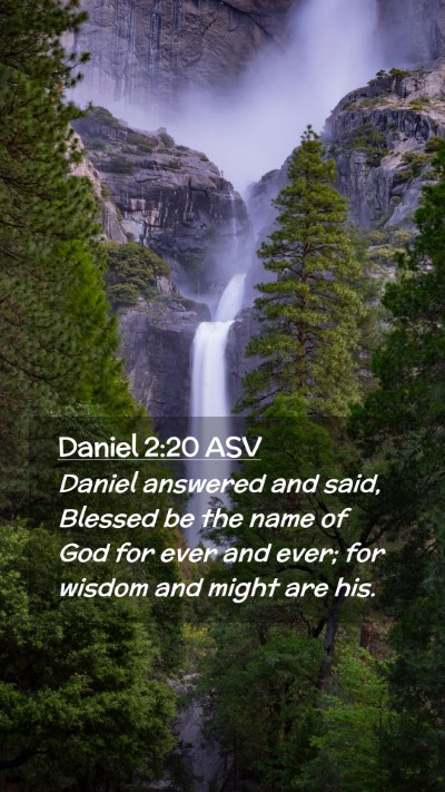 Picture 02 - Daniel 2:20 ASV Mobile Phone Wallpaper - Daniel answered and said, Blessed be the name of - Mobile Bible Verse Wallpaper