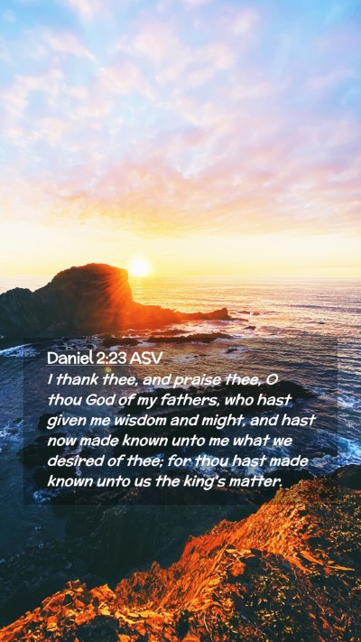 Picture 02 - Daniel 2:23 ASV Mobile Phone Wallpaper - I thank thee, and praise thee, O thou God of my - Mobile Bible Verse Wallpaper