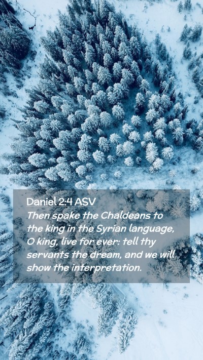 Picture 02 - Daniel 2:4 ASV Mobile Phone Wallpaper - Then spake the Chaldeans to the king in the - Mobile Bible Verse Wallpaper