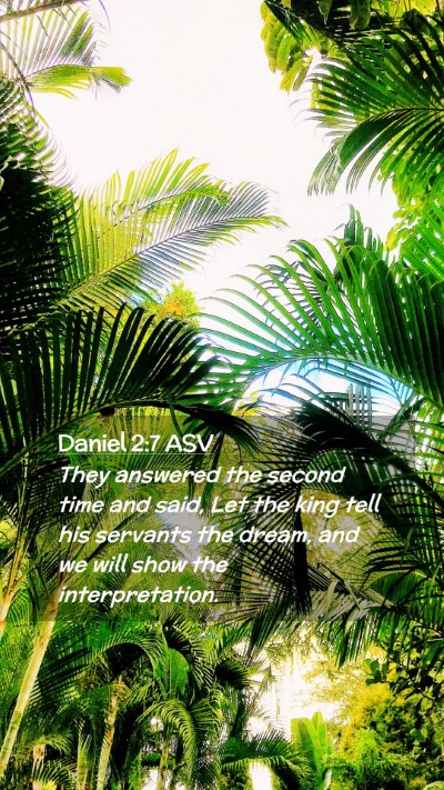 Picture 02 - Daniel 2:7 ASV Mobile Phone Wallpaper - They answered the second time and said, Let the - Mobile Bible Verse Wallpaper