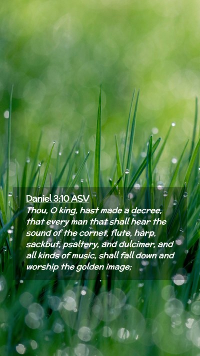 Picture 02 - Daniel 3:10 ASV Mobile Phone Wallpaper - Thou, O king, hast made a decree, that every man - Mobile Bible Verse Wallpaper