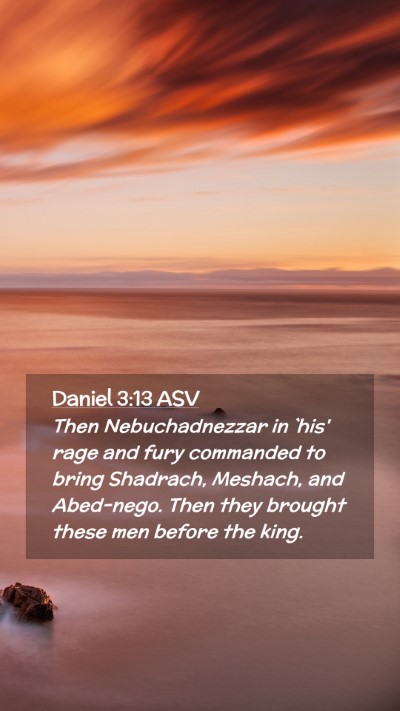 Picture 02 - Daniel 3:13 ASV Mobile Phone Wallpaper - Then Nebuchadnezzar in `his' rage and fury - Mobile Bible Verse Wallpaper