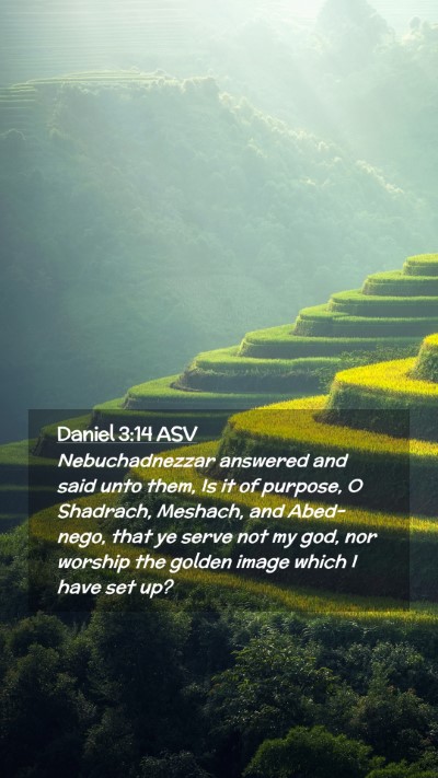 Picture 02 - Daniel 3:14 ASV Mobile Phone Wallpaper - Nebuchadnezzar answered and said unto them, Is it - Mobile Bible Verse Wallpaper