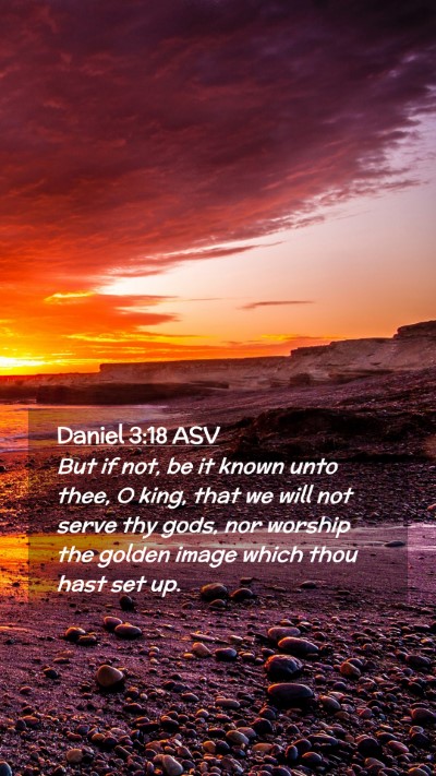 Picture 02 - Daniel 3:18 ASV Mobile Phone Wallpaper - But if not, be it known unto thee, O king, that - Mobile Bible Verse Wallpaper