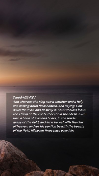 Picture 02 - Daniel 4:23 ASV Mobile Phone Wallpaper - And whereas the king saw a watcher and a holy one - Mobile Bible Verse Wallpaper