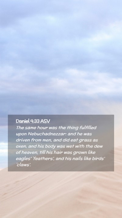 Picture 02 - Daniel 4:33 ASV Mobile Phone Wallpaper - The same hour was the thing fulfilled upon - Mobile Bible Verse Wallpaper