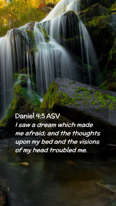 Picture 02 - Daniel 4:5 ASV Mobile Phone Wallpaper - I saw a dream which made me afraid; and the - Mobile Bible Verse Wallpaper