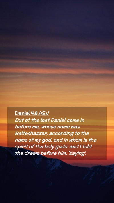 Picture 02 - Daniel 4:8 ASV Mobile Phone Wallpaper - But at the last Daniel came in before me, whose - Mobile Bible Verse Wallpaper
