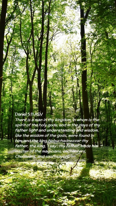 Picture 02 - Daniel 5:11 ASV Mobile Phone Wallpaper - There is a man in thy kingdom, in whom is the - Mobile Bible Verse Wallpaper