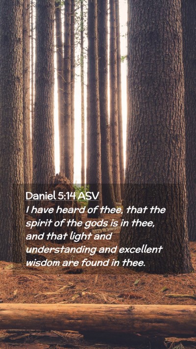 Picture 02 - Daniel 5:14 ASV Mobile Phone Wallpaper - I have heard of thee, that the spirit of the gods - Mobile Bible Verse Wallpaper