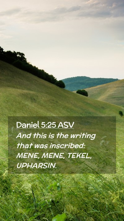 Picture 02 - Daniel 5:25 ASV Mobile Phone Wallpaper - And this is the writing that was inscribed: MENE, - Mobile Bible Verse Wallpaper