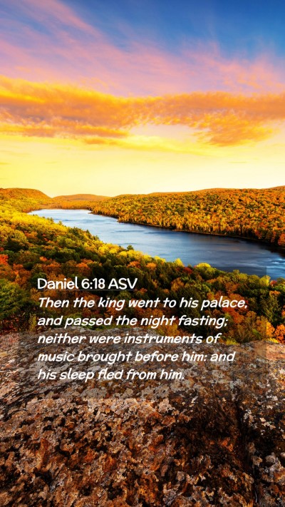 Picture 02 - Daniel 6:18 ASV Mobile Phone Wallpaper - Then the king went to his palace, and passed the - Mobile Bible Verse Wallpaper