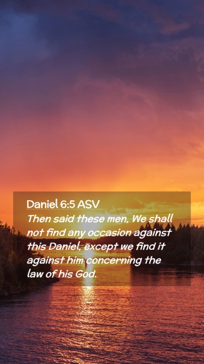 Picture 02 - Daniel 6:5 ASV Mobile Phone Wallpaper - Then said these men, We shall not find any - Mobile Bible Verse Wallpaper