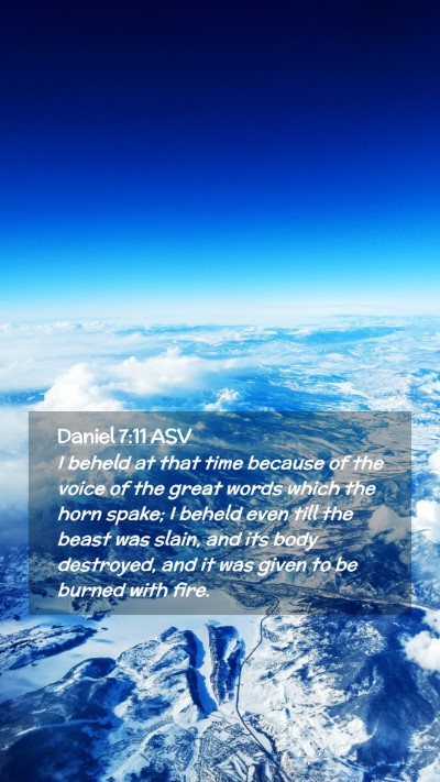 Picture 02 - Daniel 7:11 ASV Mobile Phone Wallpaper - I beheld at that time because of the voice of the - Mobile Bible Verse Wallpaper