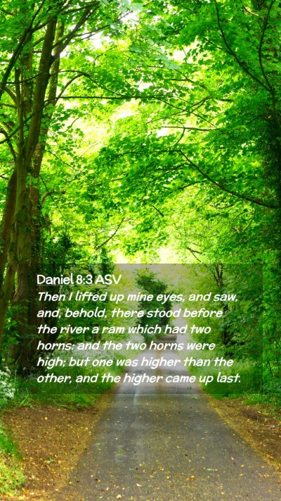 Picture 02 - Daniel 8:3 ASV Mobile Phone Wallpaper - Then I lifted up mine eyes, and saw, and, behold, - Mobile Bible Verse Wallpaper