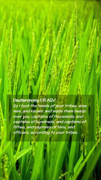 Picture 02 - Deuteronomy 1:15 ASV Mobile Phone Wallpaper - So I took the heads of your tribes, wise men, and - Mobile Bible Verse Wallpaper