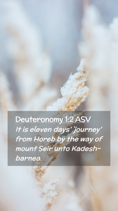 Picture 02 - Deuteronomy 1:2 ASV Mobile Phone Wallpaper - It is eleven days' `journey' from Horeb by the - Mobile Bible Verse Wallpaper