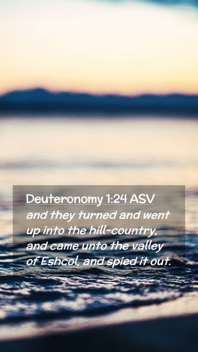Picture 02 - Deuteronomy 1:24 ASV Mobile Phone Wallpaper - and they turned and went up into the - Mobile Bible Verse Wallpaper