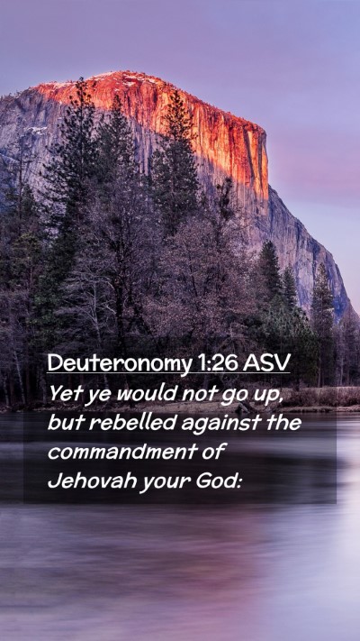 Picture 02 - Deuteronomy 1:26 ASV Mobile Phone Wallpaper - Yet ye would not go up, but rebelled against the - Mobile Bible Verse Wallpaper