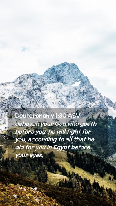Picture 02 - Deuteronomy 1:30 ASV Mobile Phone Wallpaper - Jehovah your God who goeth before you, he will - Mobile Bible Verse Wallpaper