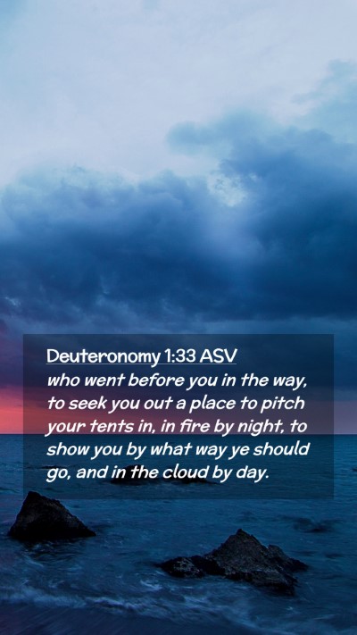 Picture 02 - Deuteronomy 1:33 ASV Mobile Phone Wallpaper - who went before you in the way, to seek you out a - Mobile Bible Verse Wallpaper