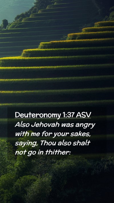 Picture 02 - Deuteronomy 1:37 ASV Mobile Phone Wallpaper - Also Jehovah was angry with me for your sakes, - Mobile Bible Verse Wallpaper