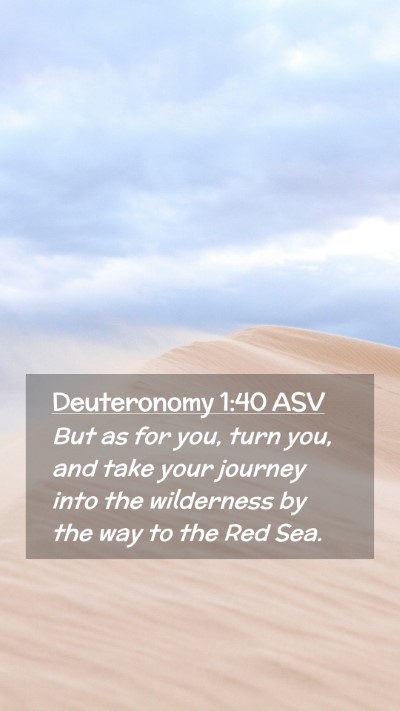 Picture 02 - Deuteronomy 1:40 ASV Mobile Phone Wallpaper - But as for you, turn you, and take your journey - Mobile Bible Verse Wallpaper